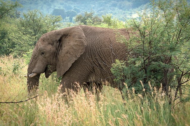 3 Days Lake Mburo National Park Tours