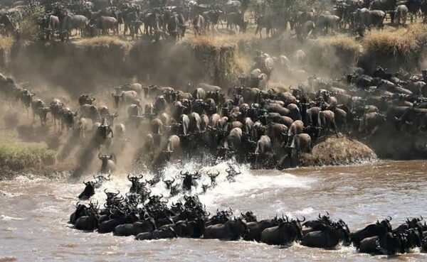 6 Days Kenya Tanzania Safari Packages