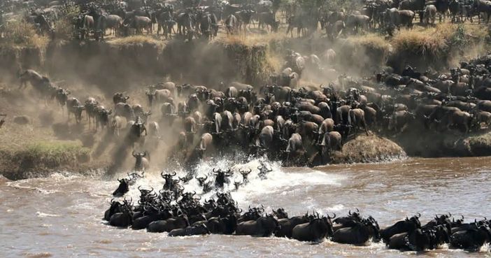 6 Days Kenya Tanzania Safari Packages