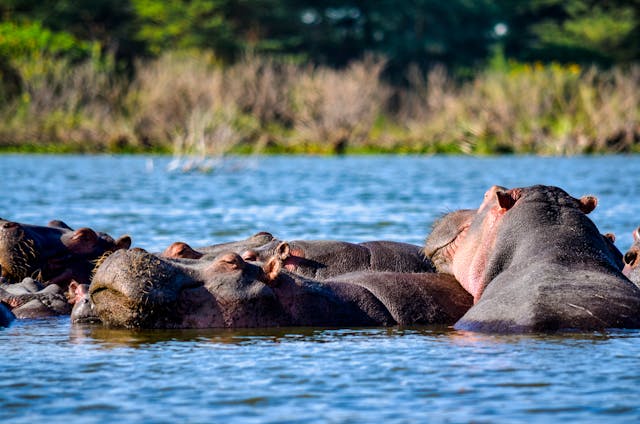 9 Days Kenya Wildlife & Diani Beach Tour