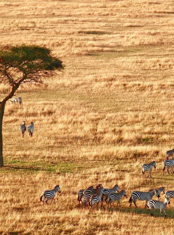 Serengeti National Park