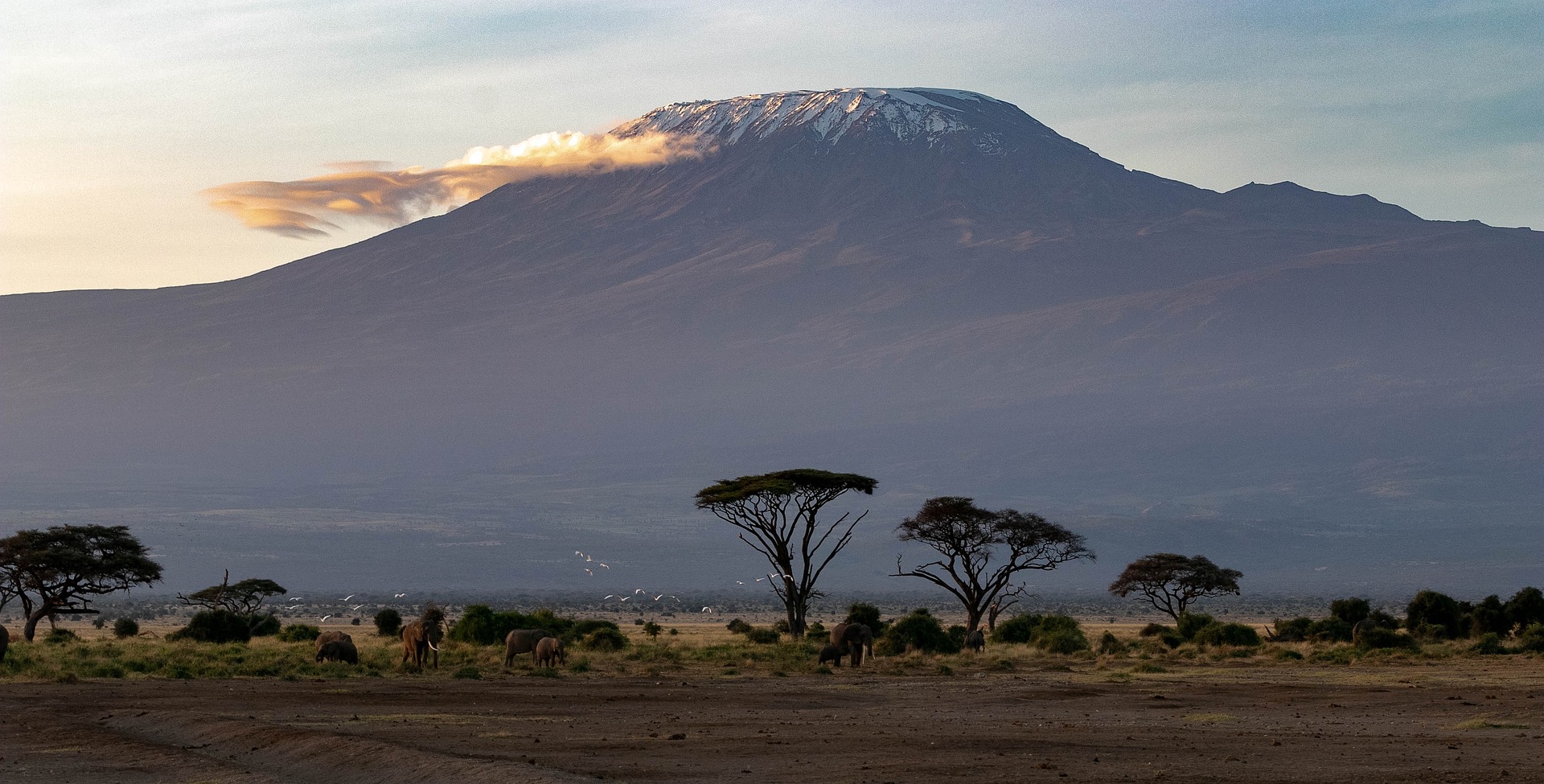 9 Days Tanzania Big Five Migration Safari Tour