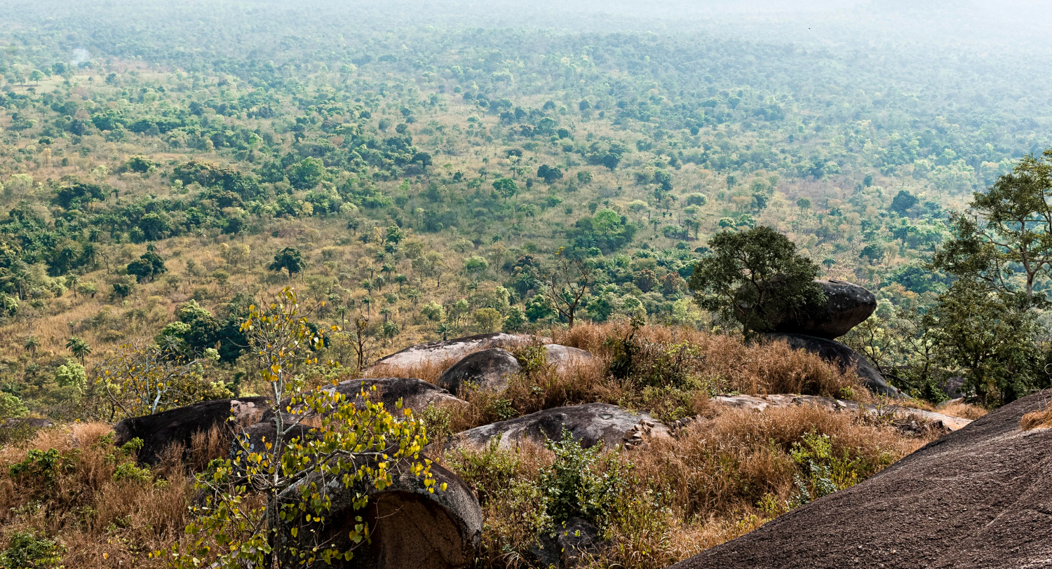 5 Days Tanzania Budget Group Safari