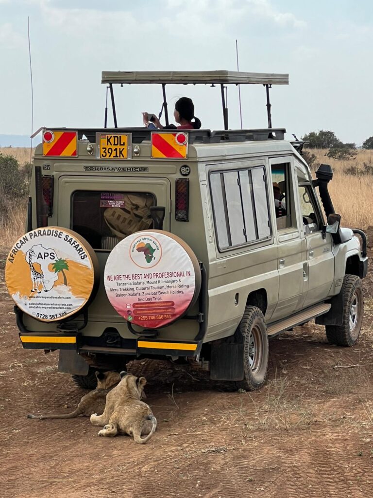 AfricanParadiseSafaris African Paradise Safaris African Paradise Safaris african paradise safari tours