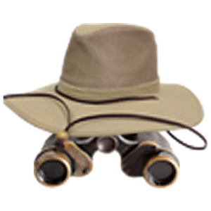 african paradise safari tours