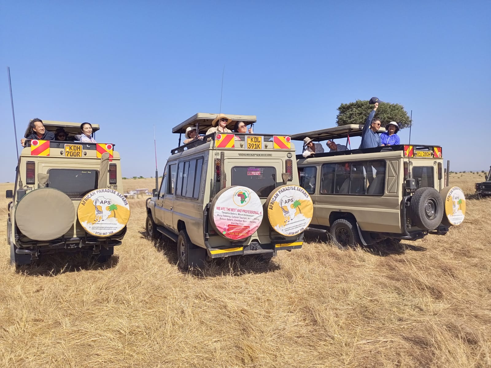 Kenya Game drives