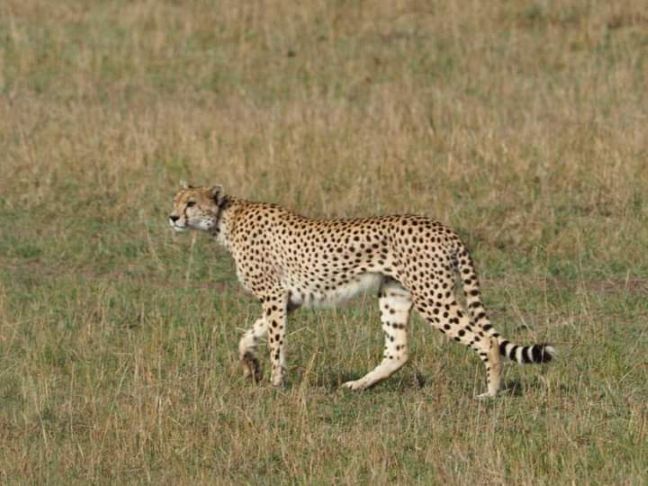 2 Days Ngorongoro Crater Tour from Arusha