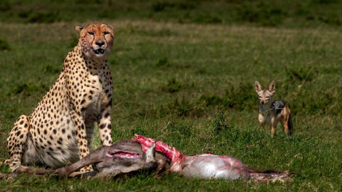 3 Days Ngorongoro Crater Luxury Safari Tour