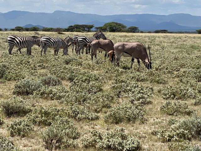 3 Days Tarangire National Park Luxury Safari Tour