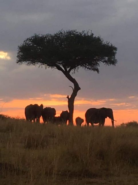 4 Day Serengeti Family Safari Itinerary