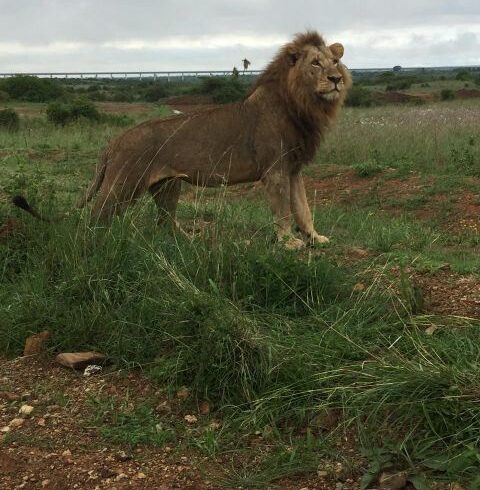 7 Days Tanzania Tour