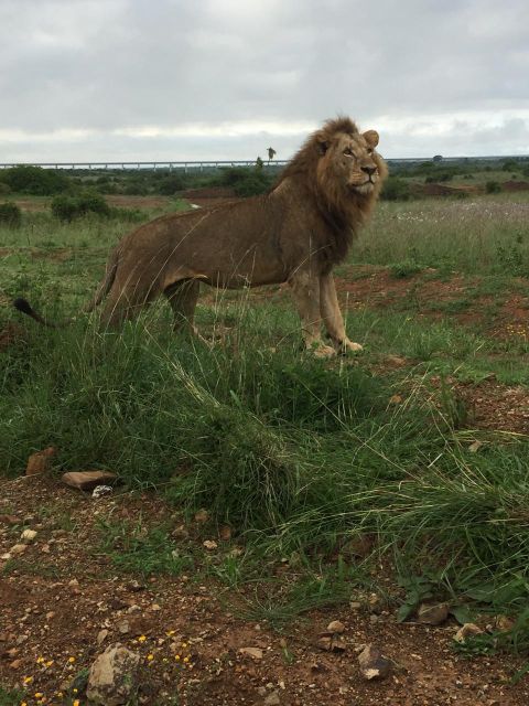 7 Days Tanzania Tour