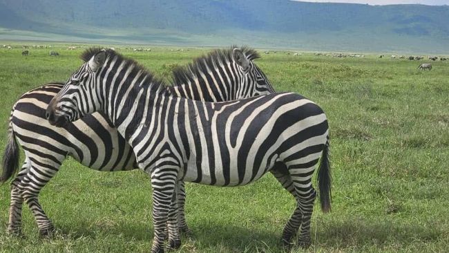 Kenya Travel Guide 2025 2027