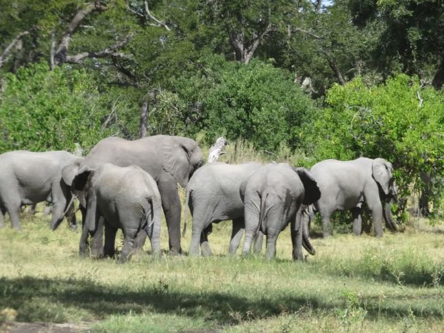 Masai Mara Safari Package Prices