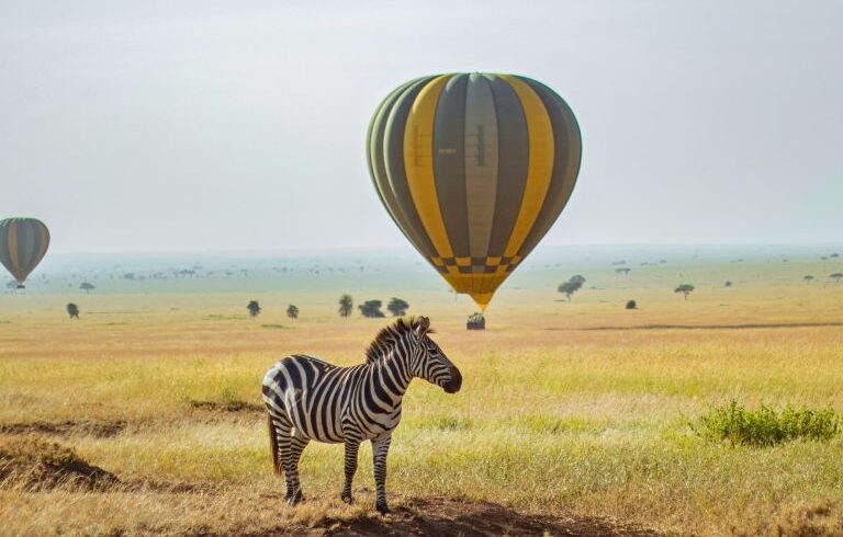 Tanzania All-Inclusive Safari Packages 2025–2027