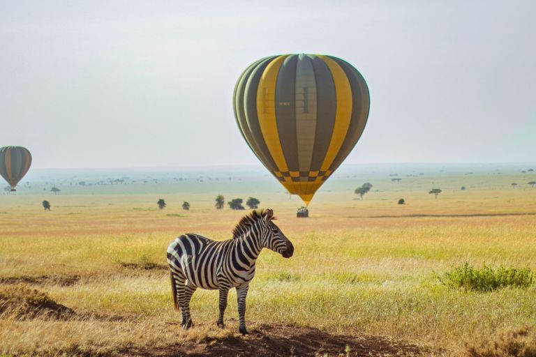Tanzania All Inclusive Safari Packages 20252027