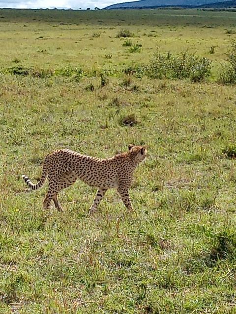 Tanzania Family Safari Tours