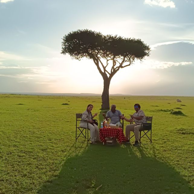 Tanzania Private Safaris 20252027