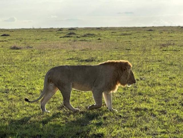 Tanzania Safari Holiday