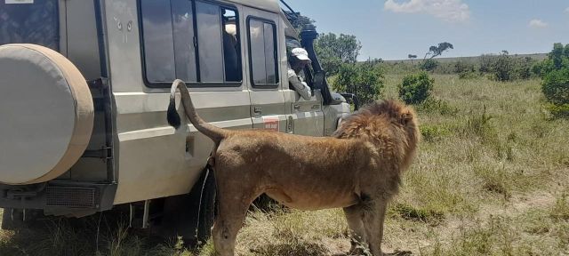 Top 4 Best Tanzania Family Safari Tours for