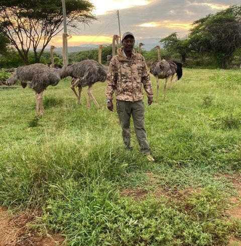 Ultimate Guide to Kenya Private Safari Tour