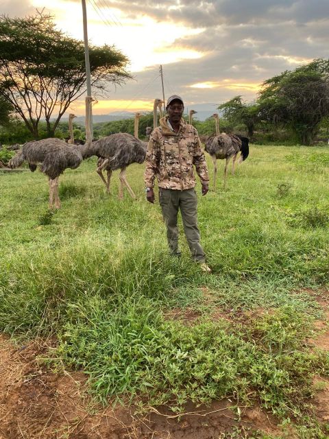 Ultimate Guide to Kenya Private Safari Tour