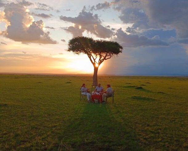 Why Serengeti Is the No. 1 Destination in Africa