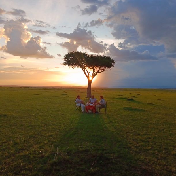 Why Serengeti Is the No 1 Destination in Africa
