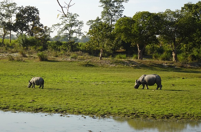 3 Days Ziwa Rhino Sanctuary Tour