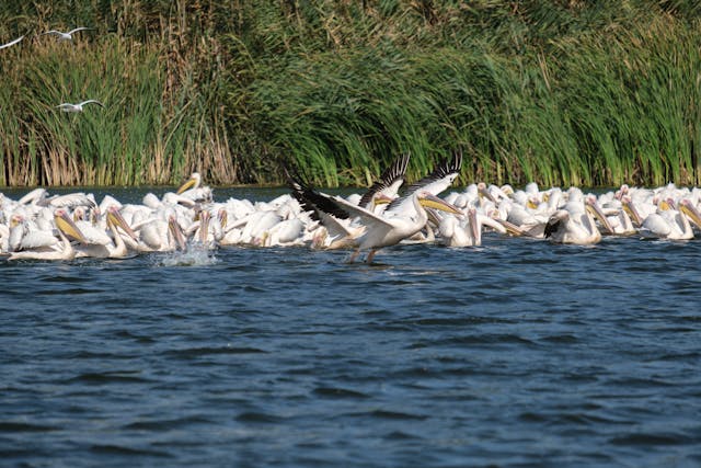Top 5 Affordable Tanzania Tour Packages