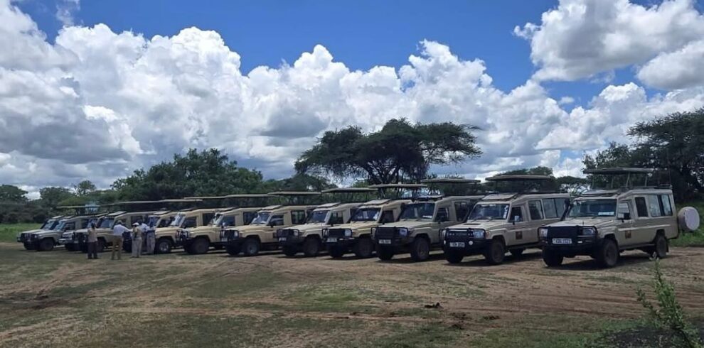 Top 5 Great Migration Safaris in Kenya
