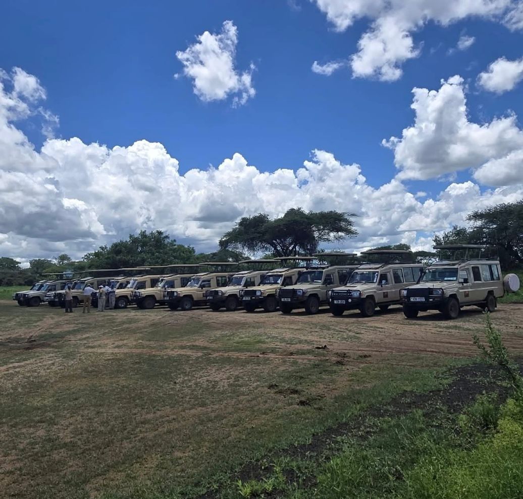 Top 5 Great Migration Safaris in Kenya