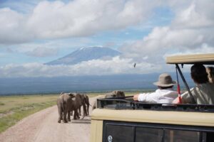 Ngorongoro Family safari vehicle overlooking Ngorongoro Crater