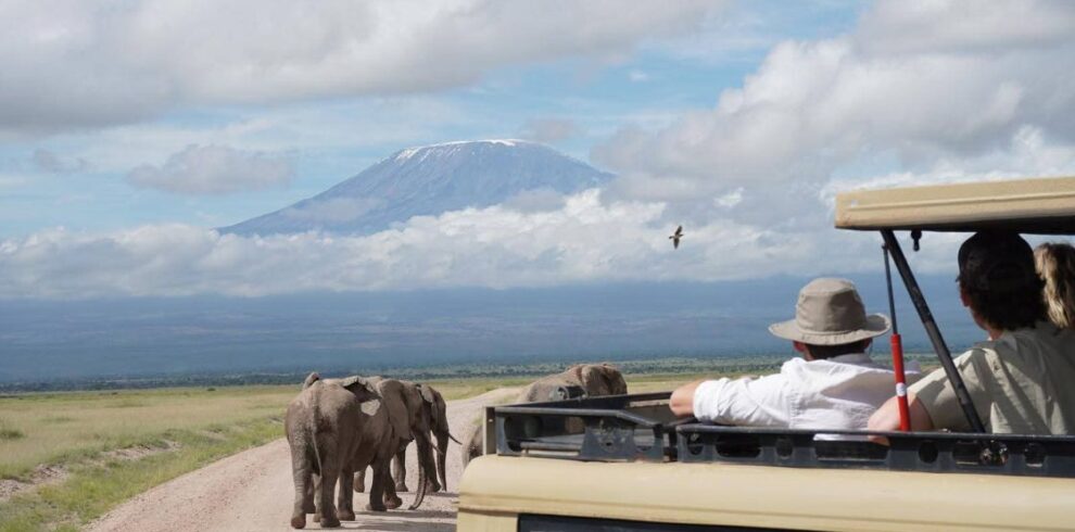 Ngorongoro Family safari vehicle overlooking Ngorongoro Crater