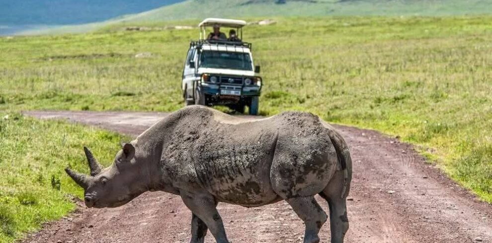 best family safari in tanzania
