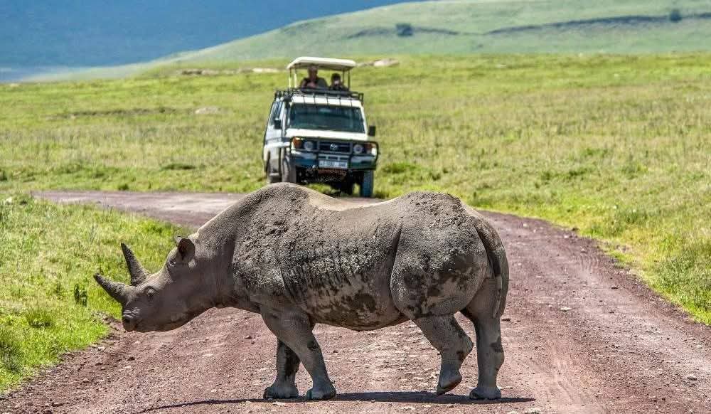 best family safari in tanzania